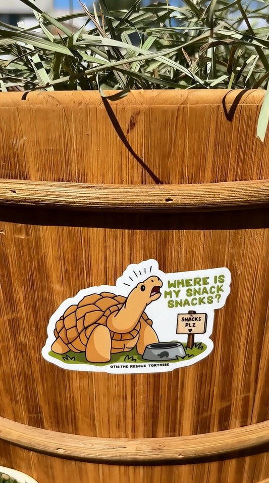 Real sticker on wooden planter outdoors